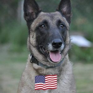 Meet your Posher, Edward